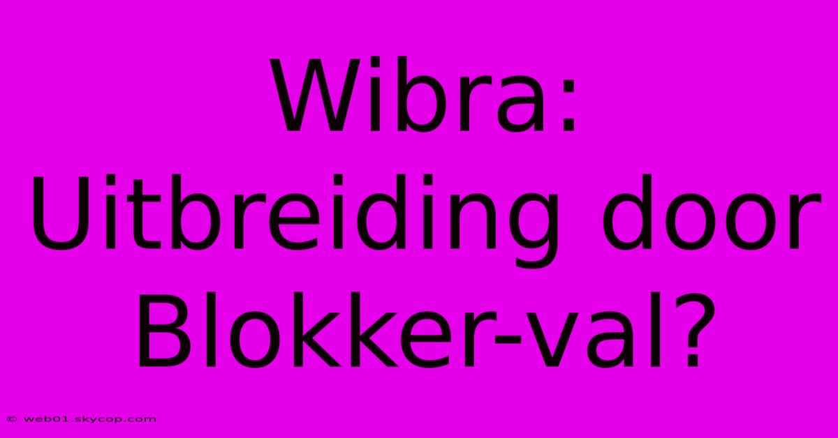 Wibra: Uitbreiding Door Blokker-val?