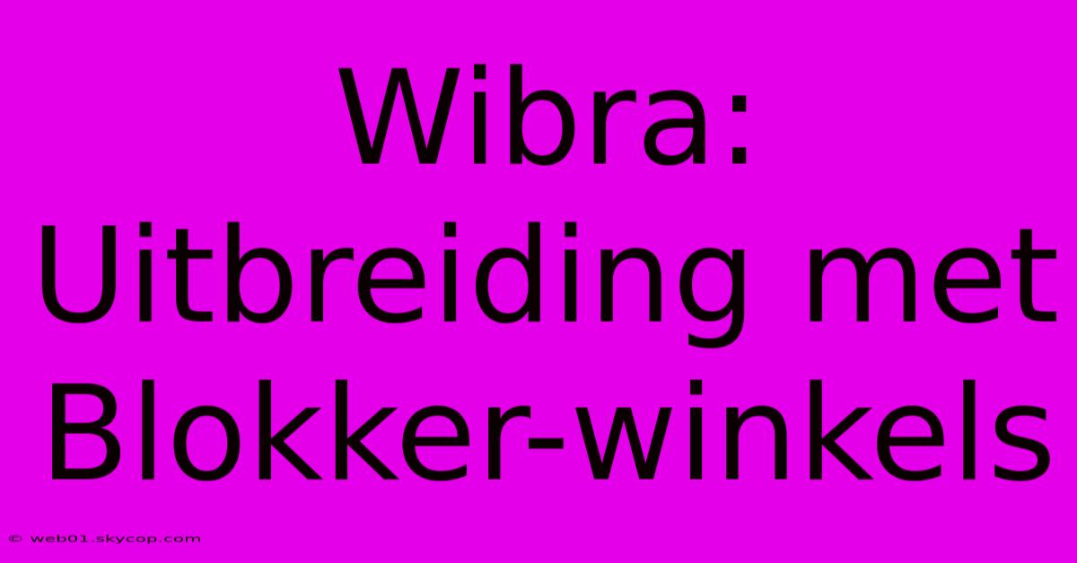 Wibra: Uitbreiding Met Blokker-winkels 