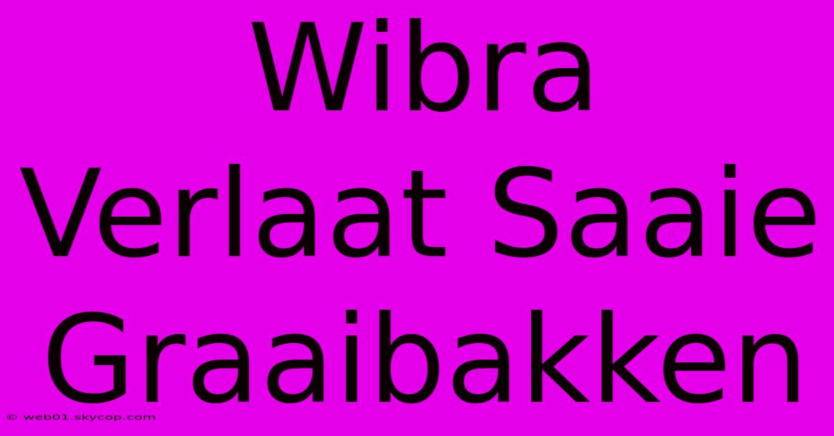 Wibra Verlaat Saaie Graaibakken