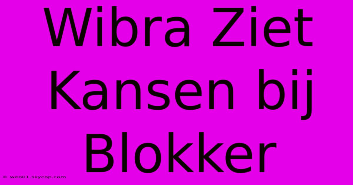 Wibra Ziet Kansen Bij Blokker