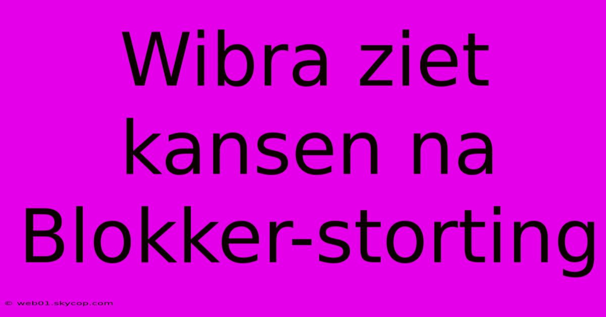 Wibra Ziet Kansen Na Blokker-storting