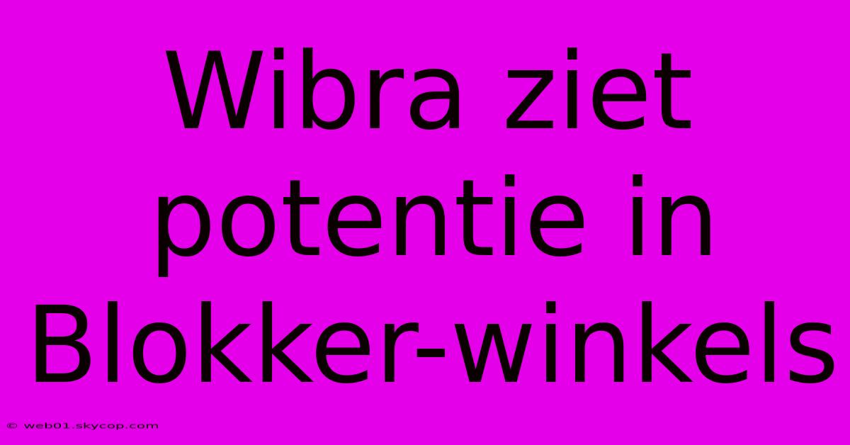 Wibra Ziet Potentie In Blokker-winkels