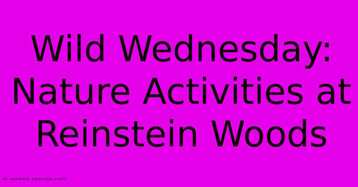 Wild Wednesday: Nature Activities At Reinstein Woods 