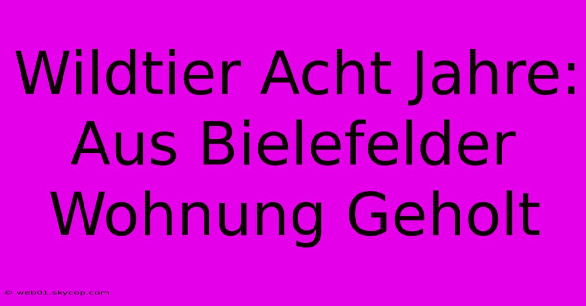 Wildtier Acht Jahre: Aus Bielefelder Wohnung Geholt