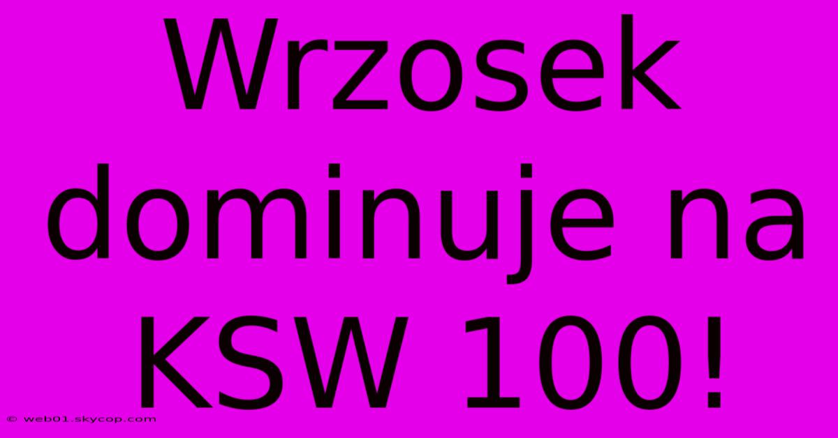 Wrzosek Dominuje Na KSW 100!