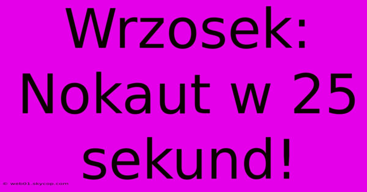 Wrzosek: Nokaut W 25 Sekund!