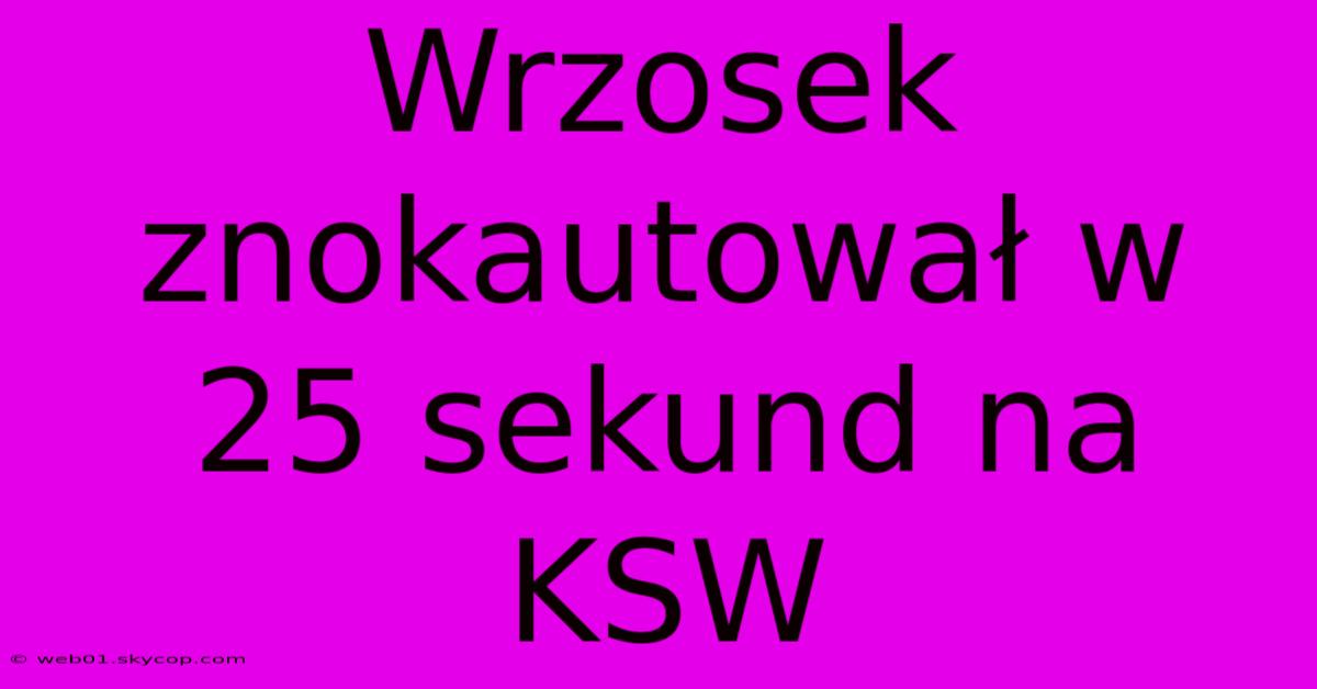 Wrzosek Znokautował W 25 Sekund Na KSW