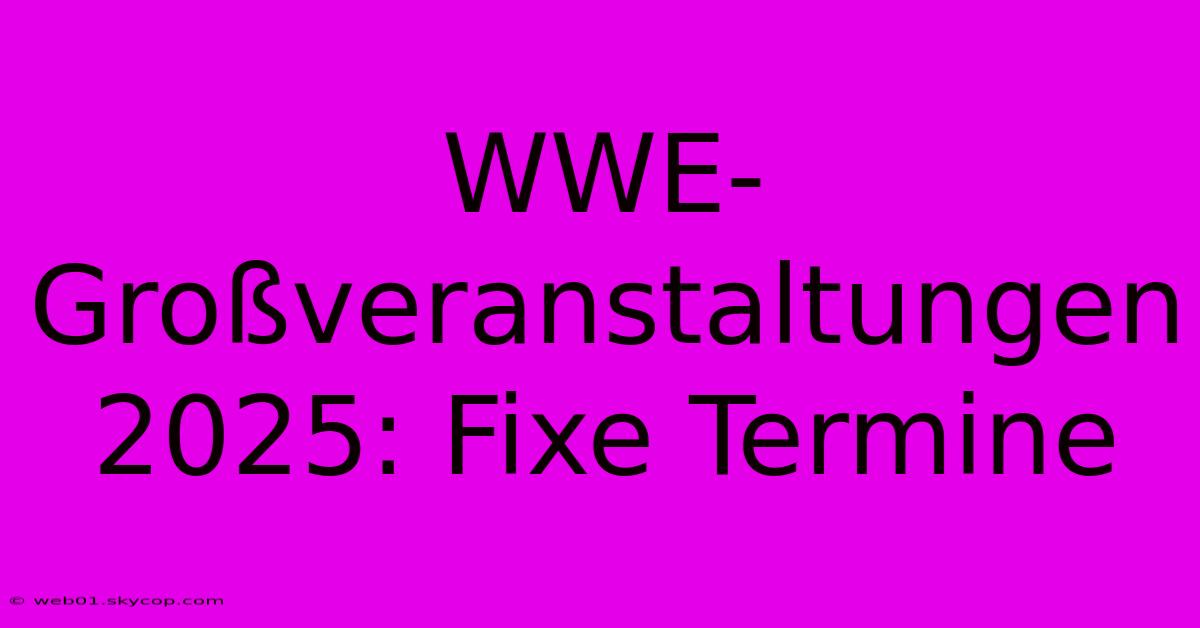 WWE-Großveranstaltungen 2025: Fixe Termine