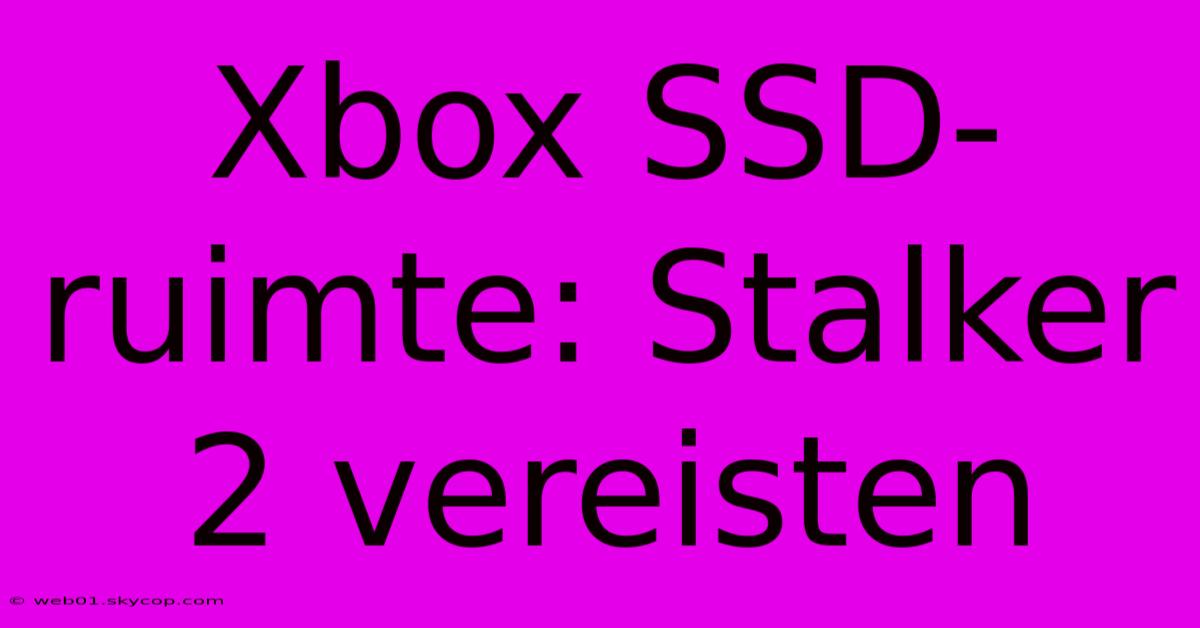 Xbox SSD-ruimte: Stalker 2 Vereisten