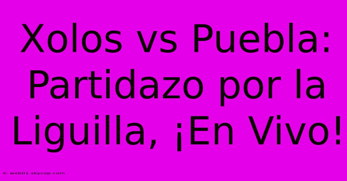 Xolos Vs Puebla: Partidazo Por La Liguilla, ¡En Vivo! 